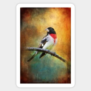 Rose Breasted Grosbeak Sticker